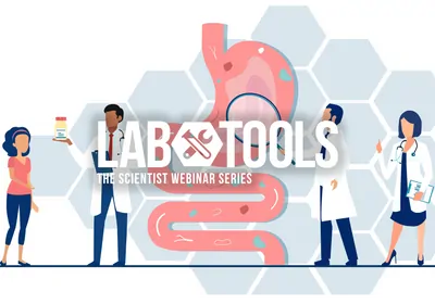 A Novel Stem-Cell Derived In Vitro Model of Intestinal Inflammation A Novel Stem-Cell Derived In Vitro Model of Intestinal Inflammation